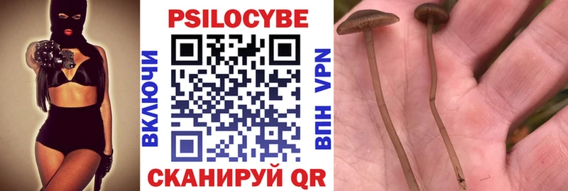 omg ссылки Пойковский Псилоцибиновые грибы прущие грибы